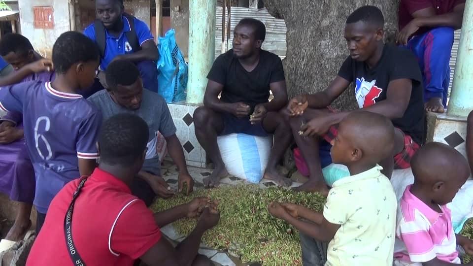 image La cueillette du girofle bat son plein à Mohéli